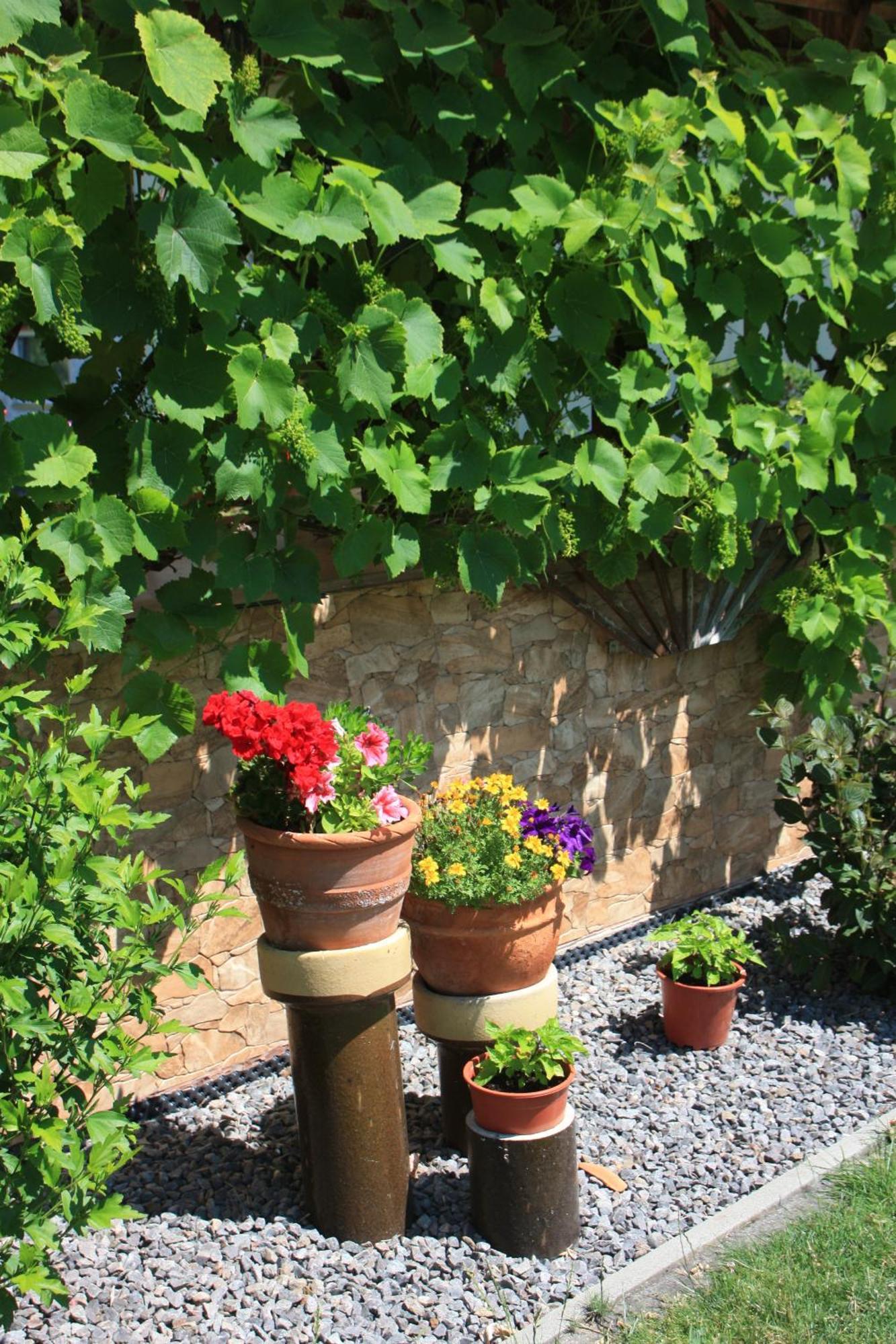 Fewo Am Geyersberg Oberschöna Εξωτερικό φωτογραφία